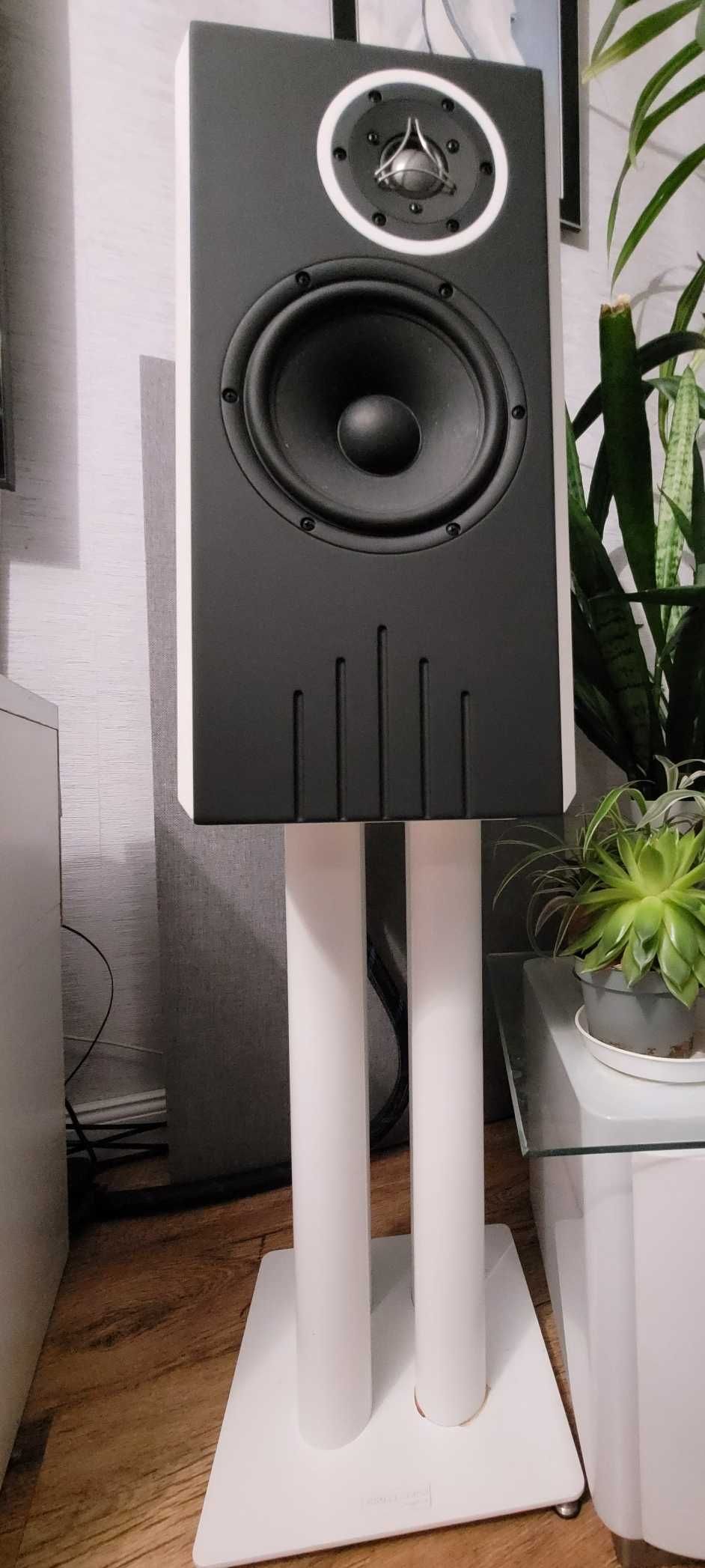 Harpia Acoustics - roczne flagowe Jantary, 2 lata gwarancji