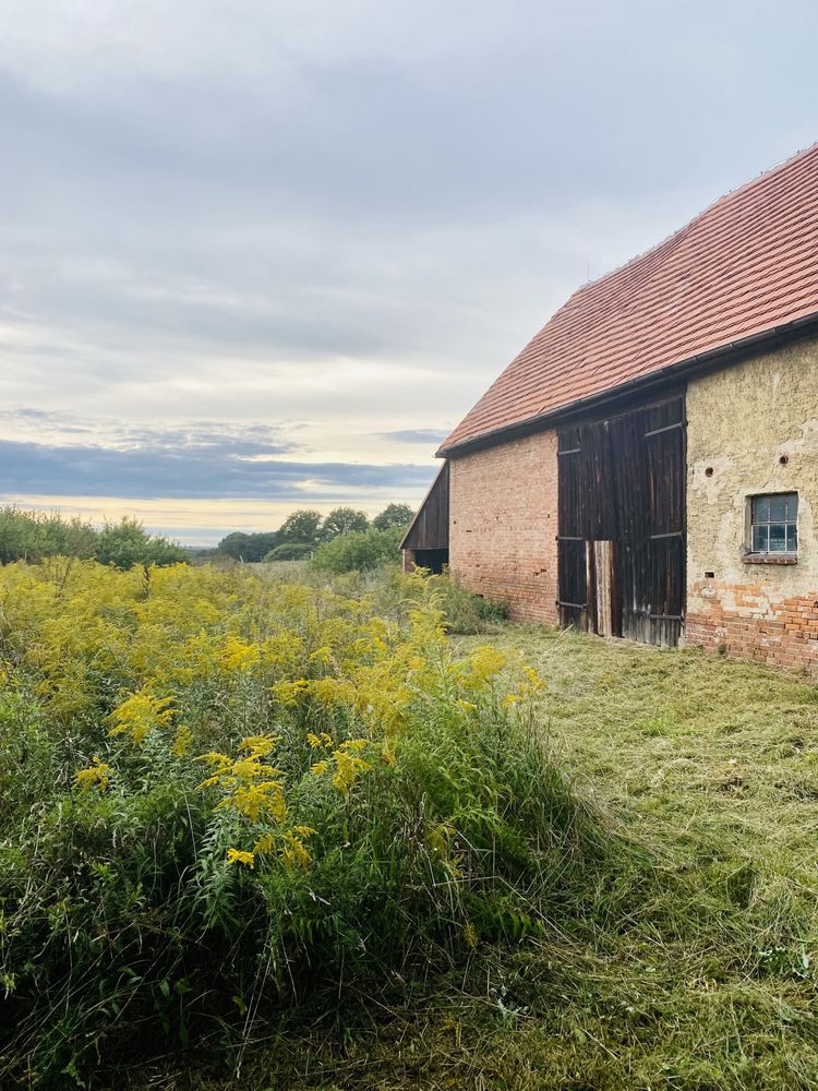 Dom na sprzedaż pod Lubinem 122 m2, działka 6354 m2, blisko lasu