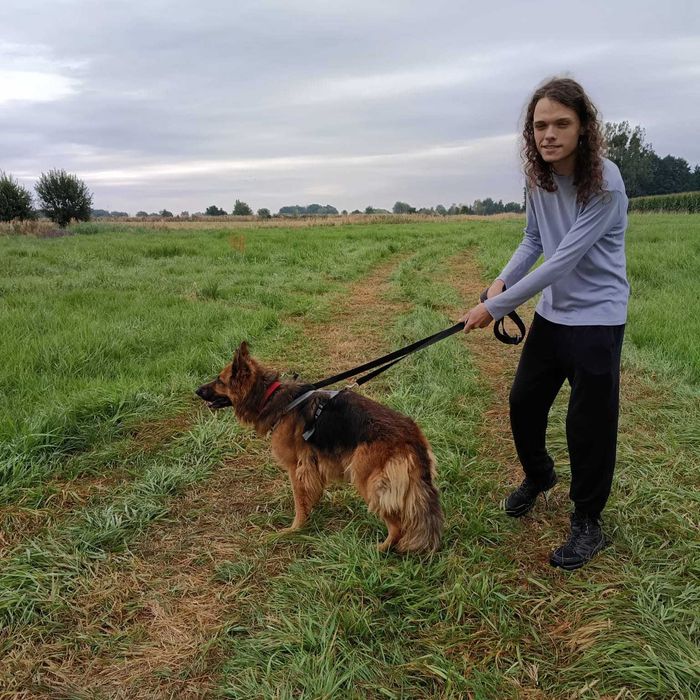 ODA – młoda piękność w typie owczarka