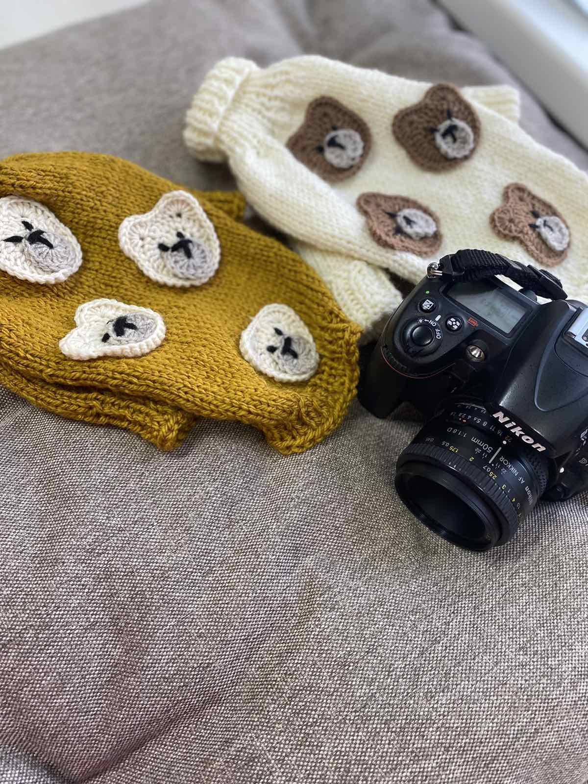 Одяг для собак та котиків