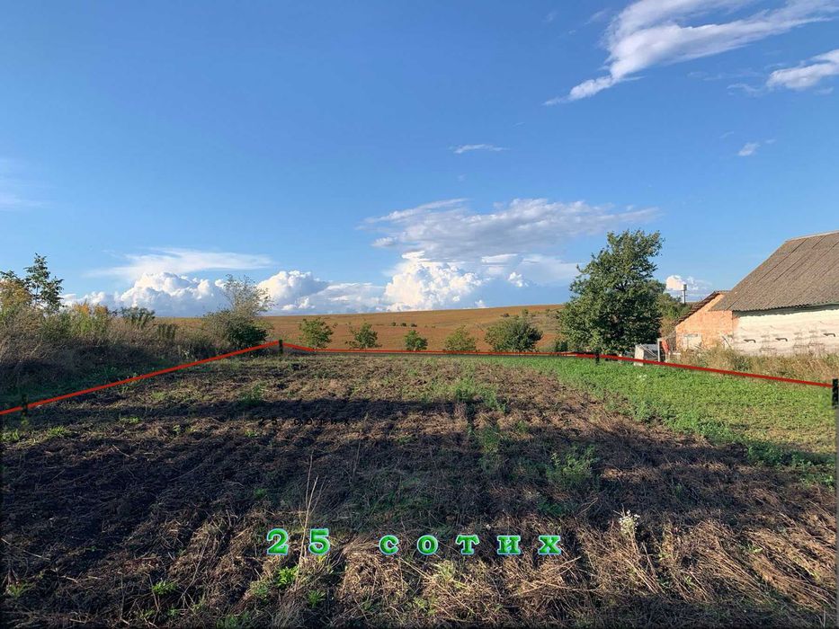 Продам ділянку 25 сотих зі старим будинком, с. Ставки