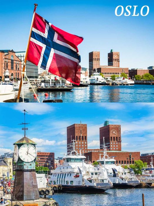 Magnes na lodówkę Norwegia Oslo