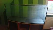 Akwarium panoramiczne 240l