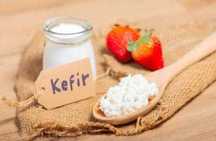 Kéfir vendo búlgaros de kéfir
