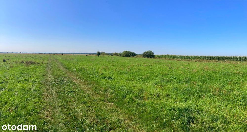 Urokliwa działka Miechowice Małe