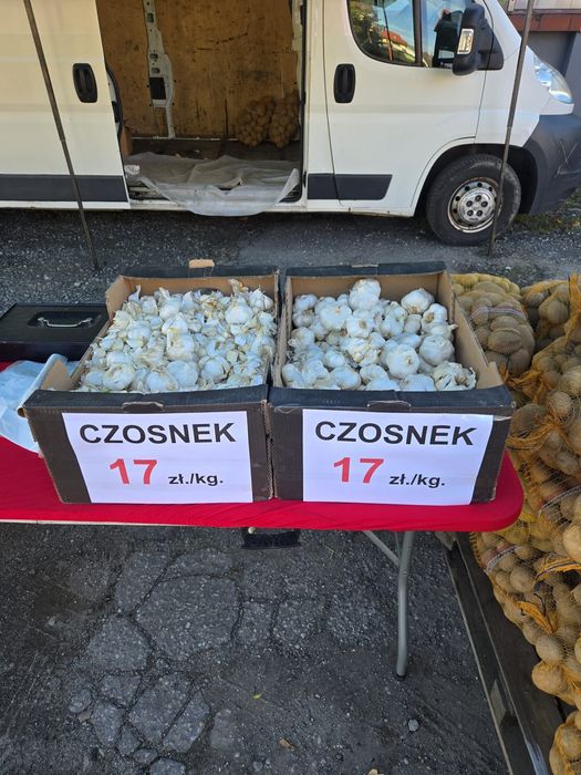 Sprzedam ziemniaki Soraya, Bellarosa i Gala