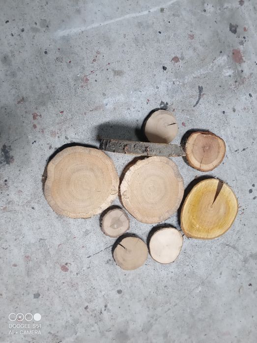 Sprzedam plastry krążki drewna