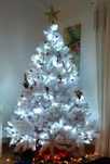 Árvore de natal linda