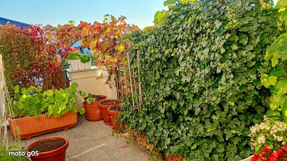 Apartament w Ogrodach Tesoro, 56m, dwa balkony, 5 km do centrum Gdyni!