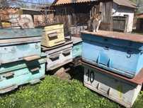 Продам Вулики Б/у для бджіл (та других животних).