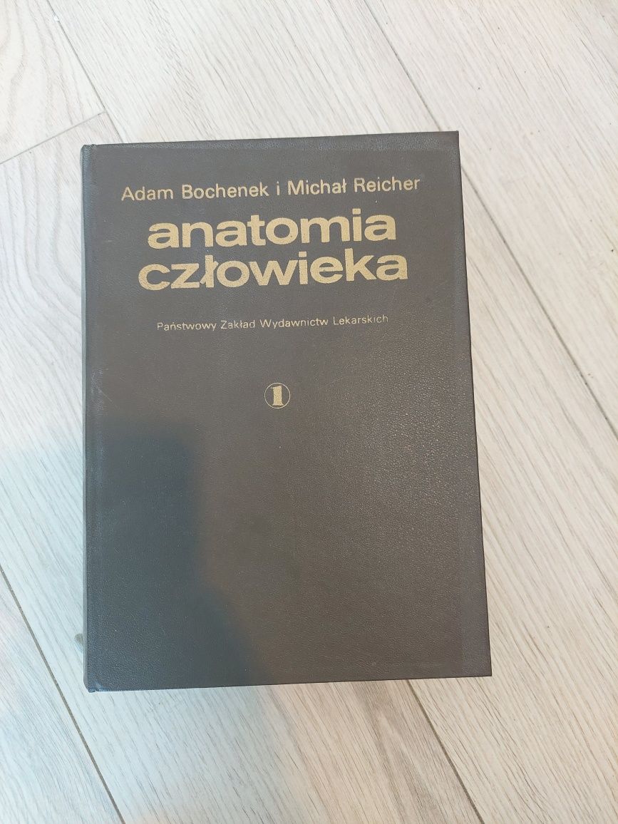 Bochenek anatomia trzy tomy