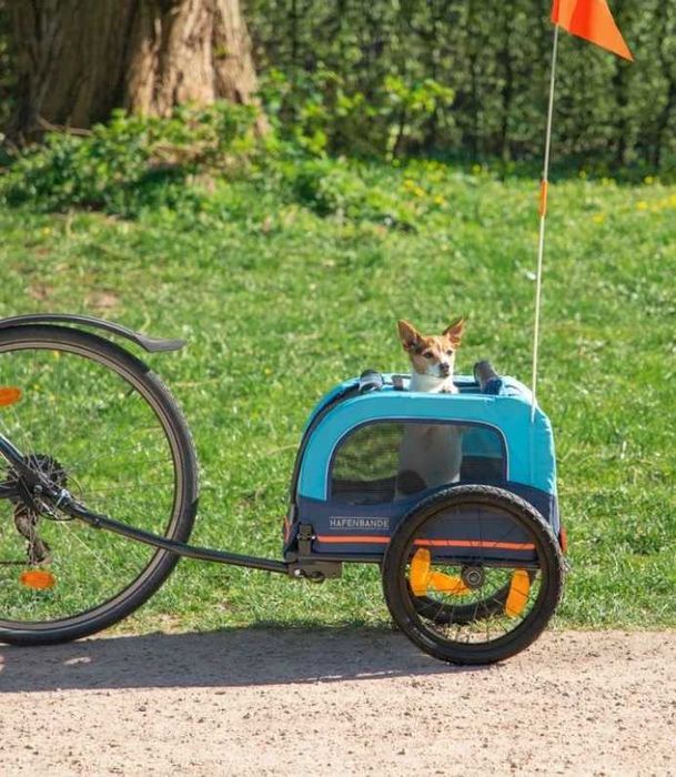 Przyczepka Rowerowa Haffenbande S