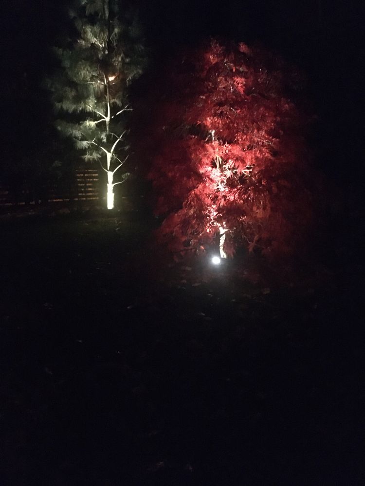 Nawadnianie Ogrodów, Podlewanie, Trawniki
