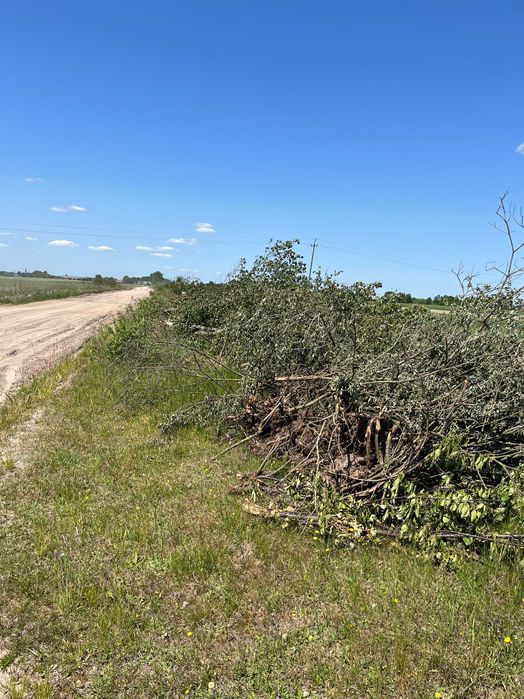 Wycinka drzew, czyszczenie działek, karczowanie, wycinka sadow