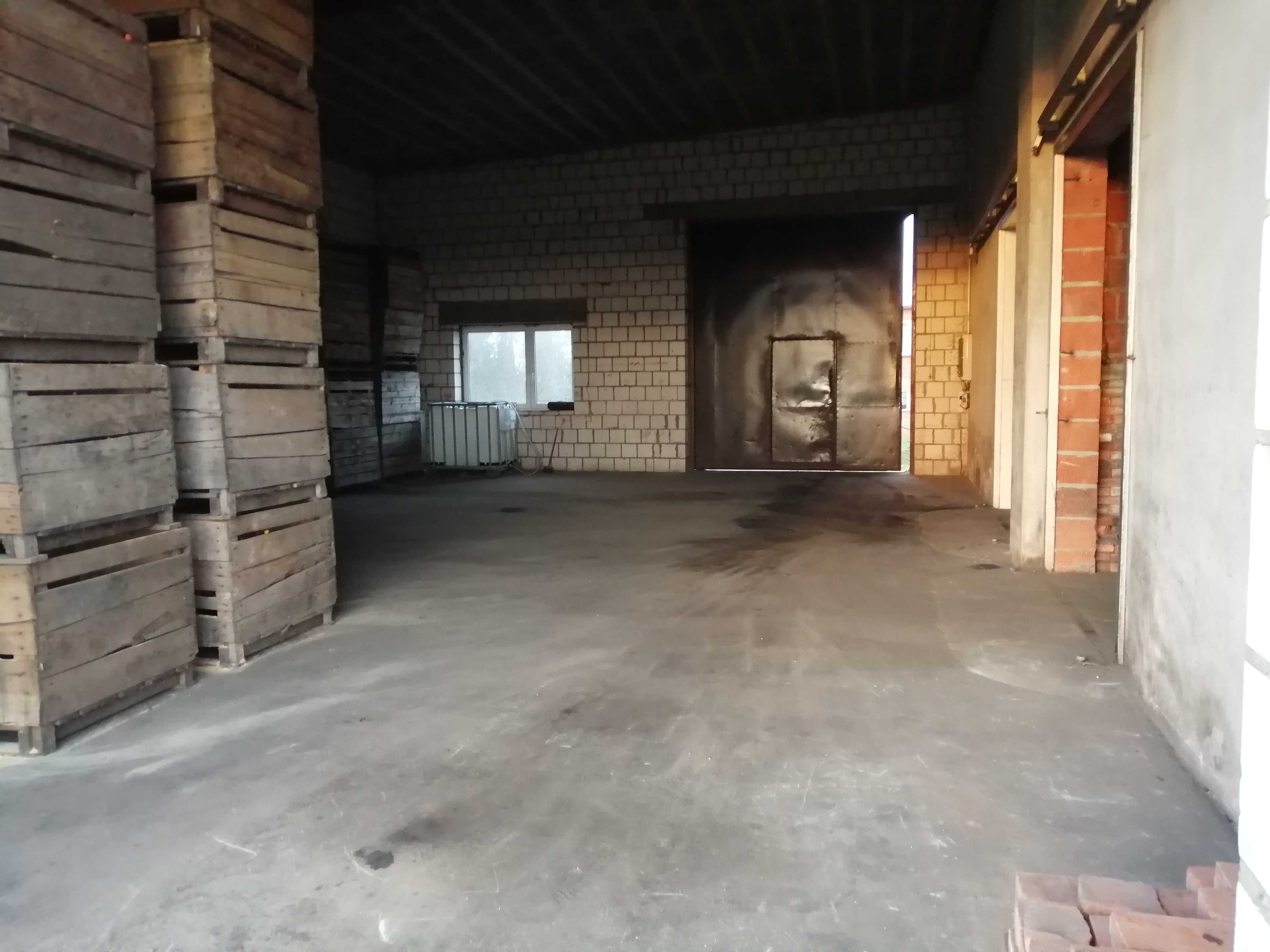 Wynajme hale, magazyn 300m2
