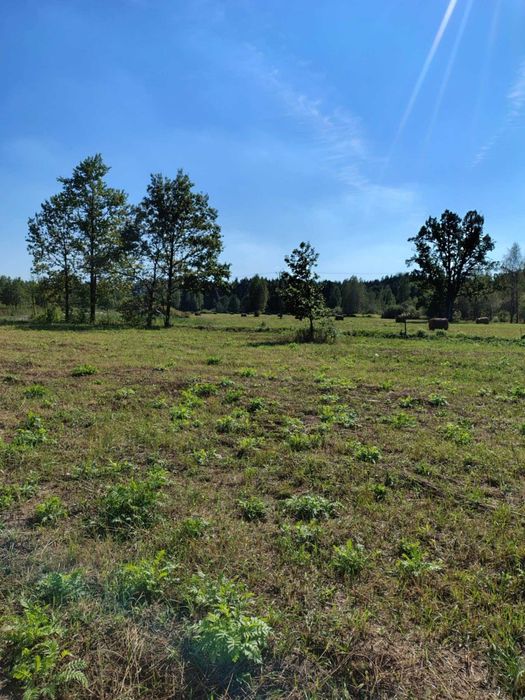 Działka budowlana w Cięciwie