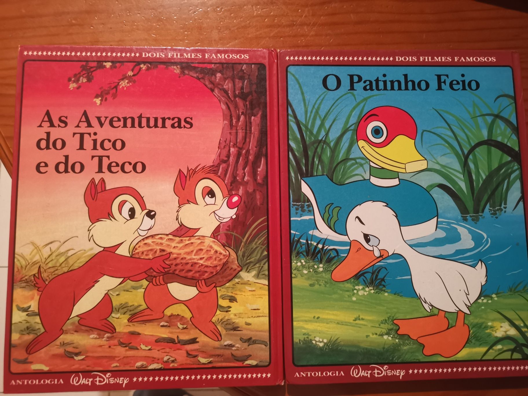 Livros Disney antigos