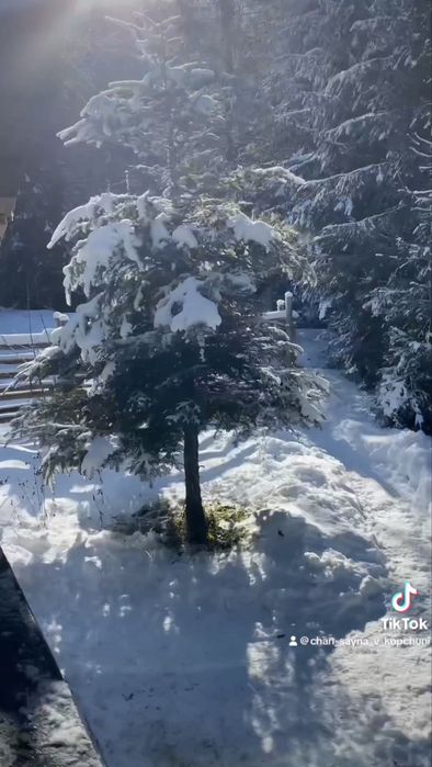 Карпатський Чан, Сауна! Відпочинок У Копчині! Масаж!