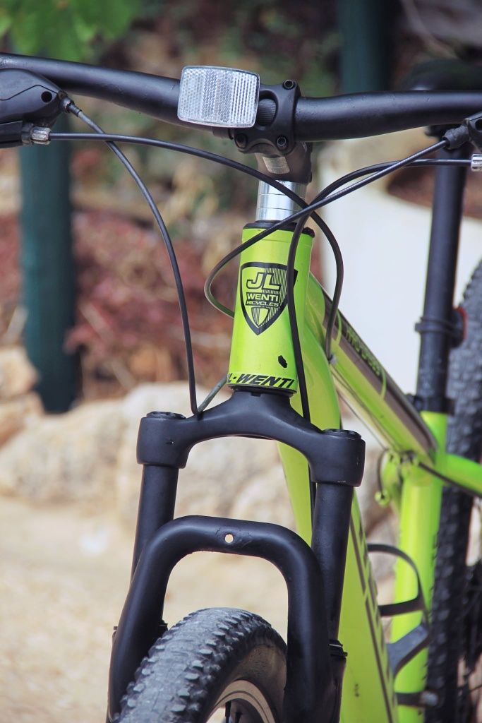 Bicicleta JL Wenti Hard Way (29'-M)