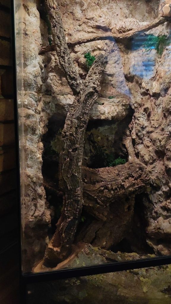Terrarium szklane IG REPTI z wyposażeniem dla kameleona , gekona  itp