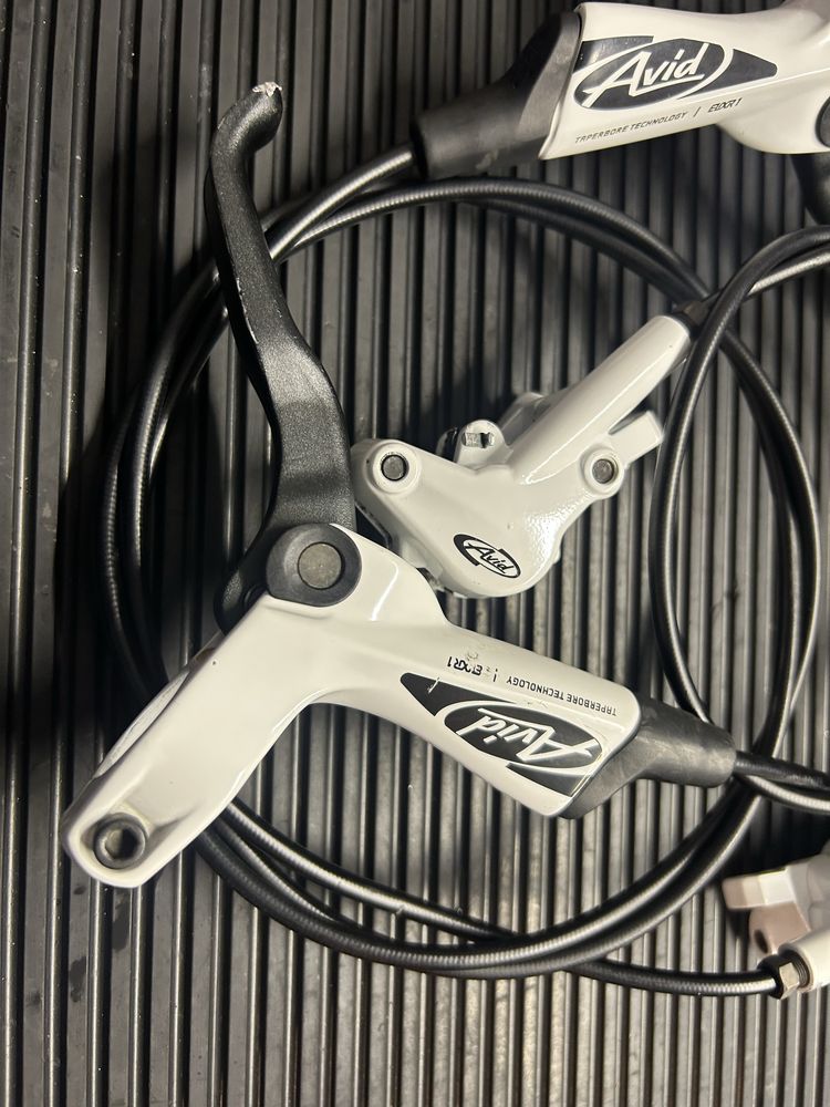 haamulce avid elixir 1