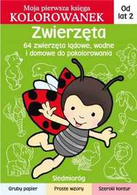 Zwierzęta. Moja pierwsza księga kolorowanek - Jarosław Żukowski