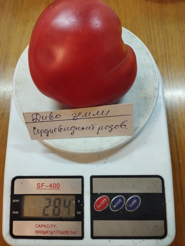 Семена  томатов и огурцов
