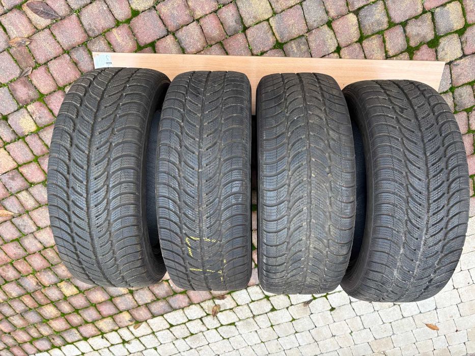 Opony zimowe Dębica 205/55/16