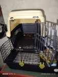 Transportadora de animais