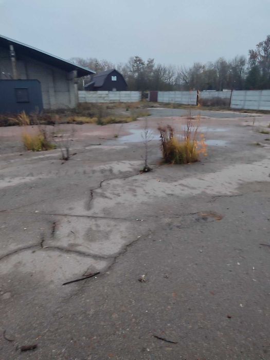 Продам приватизированный земельный участок с постройками в Равнополье