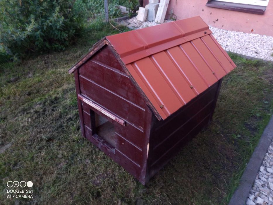 Buda dla średniego psa