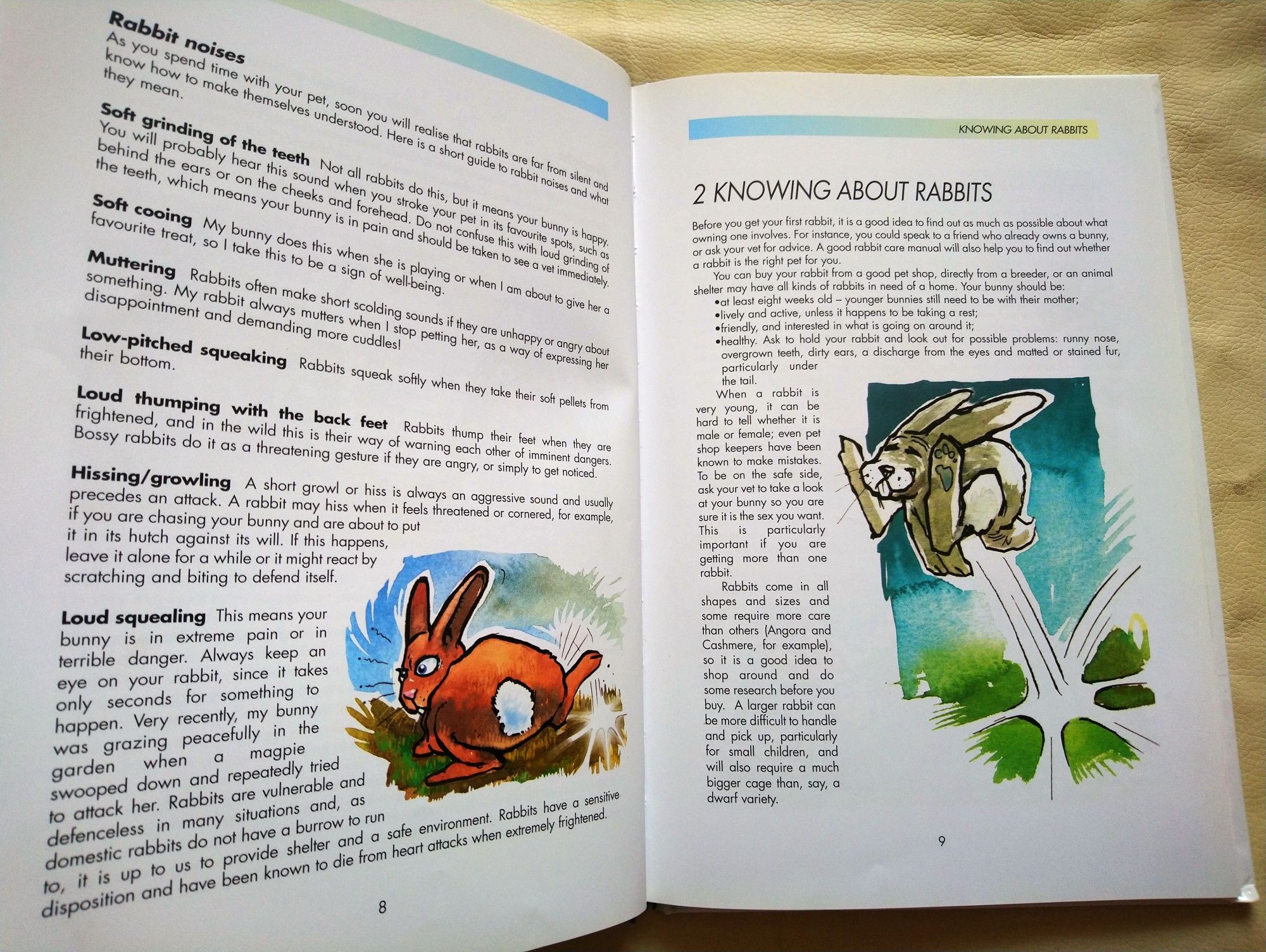 Книга The really useful Bunny Guide Carolina James
