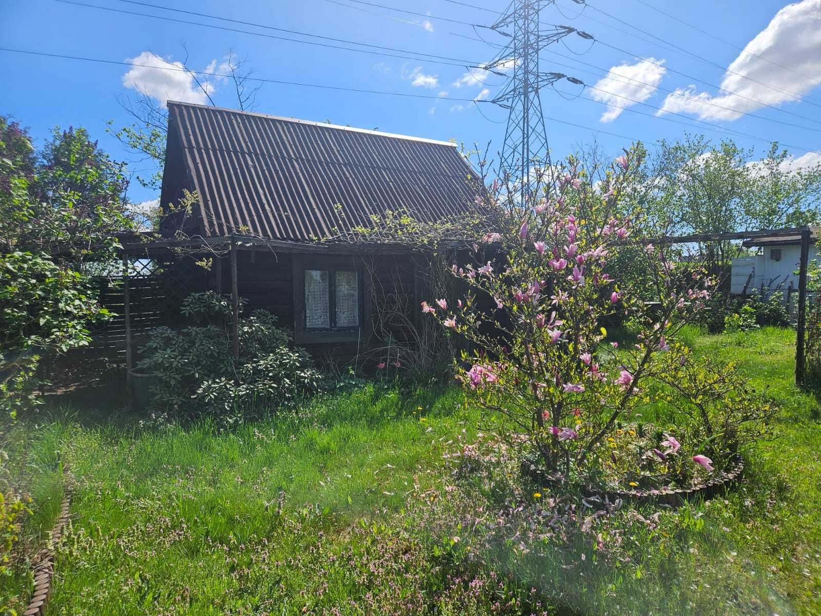 Ogródek działkowy Tarnowskie Góry