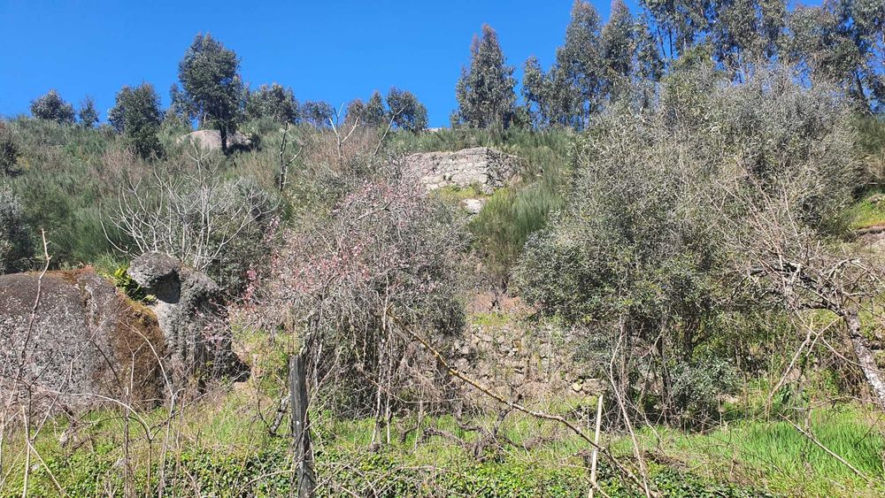 Propriedade com 4ha com Casas, Água, Vista e Muito Acolhedora