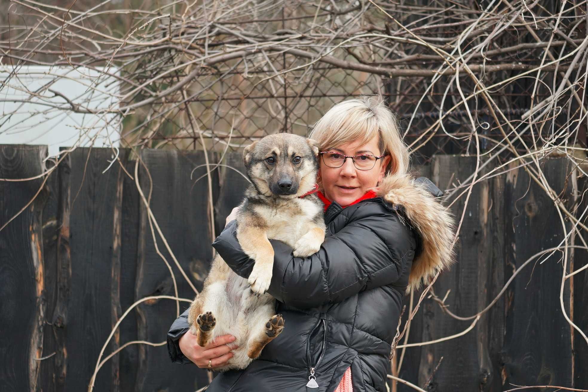 Albin - uroczy, mały psiak o łagodnym serduszku!