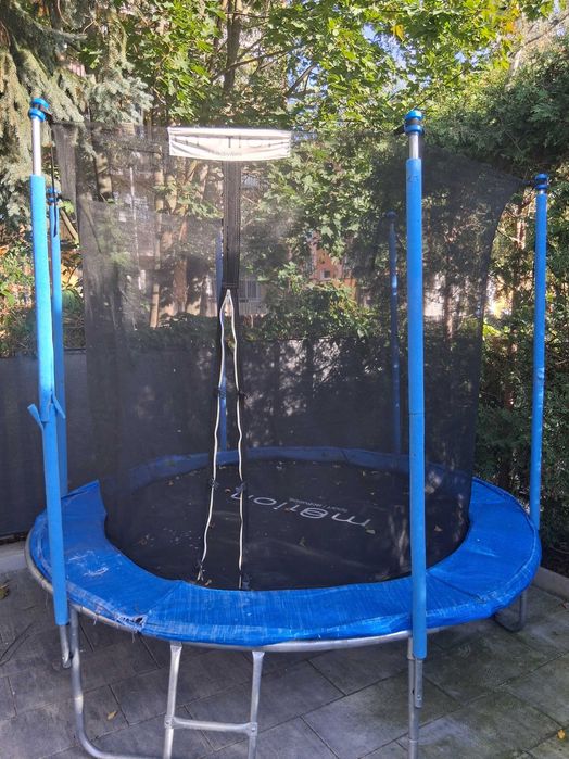 Trampolina ogrodowa 244cm z siatką ochronną