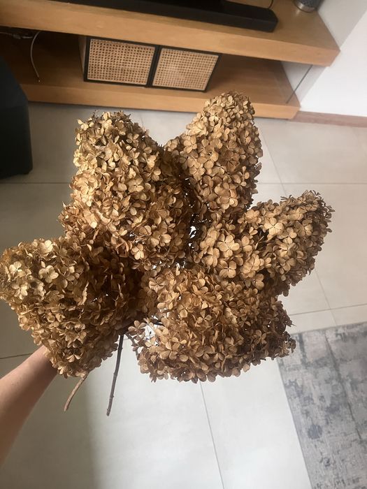 Suszone hortensje XL dekoracja kwiatowa