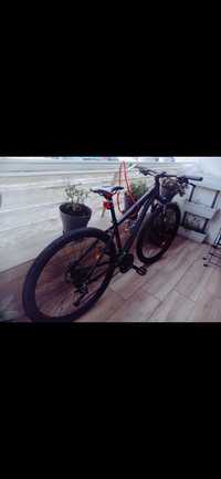 Bicicleta Berg Roda 29