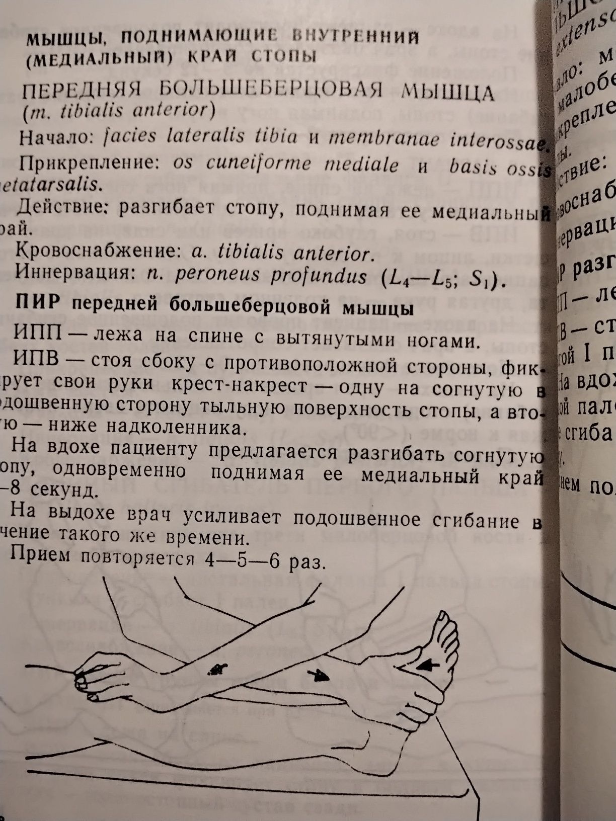 Лиев Мануальная терапия миофасциальных болевых синдромов