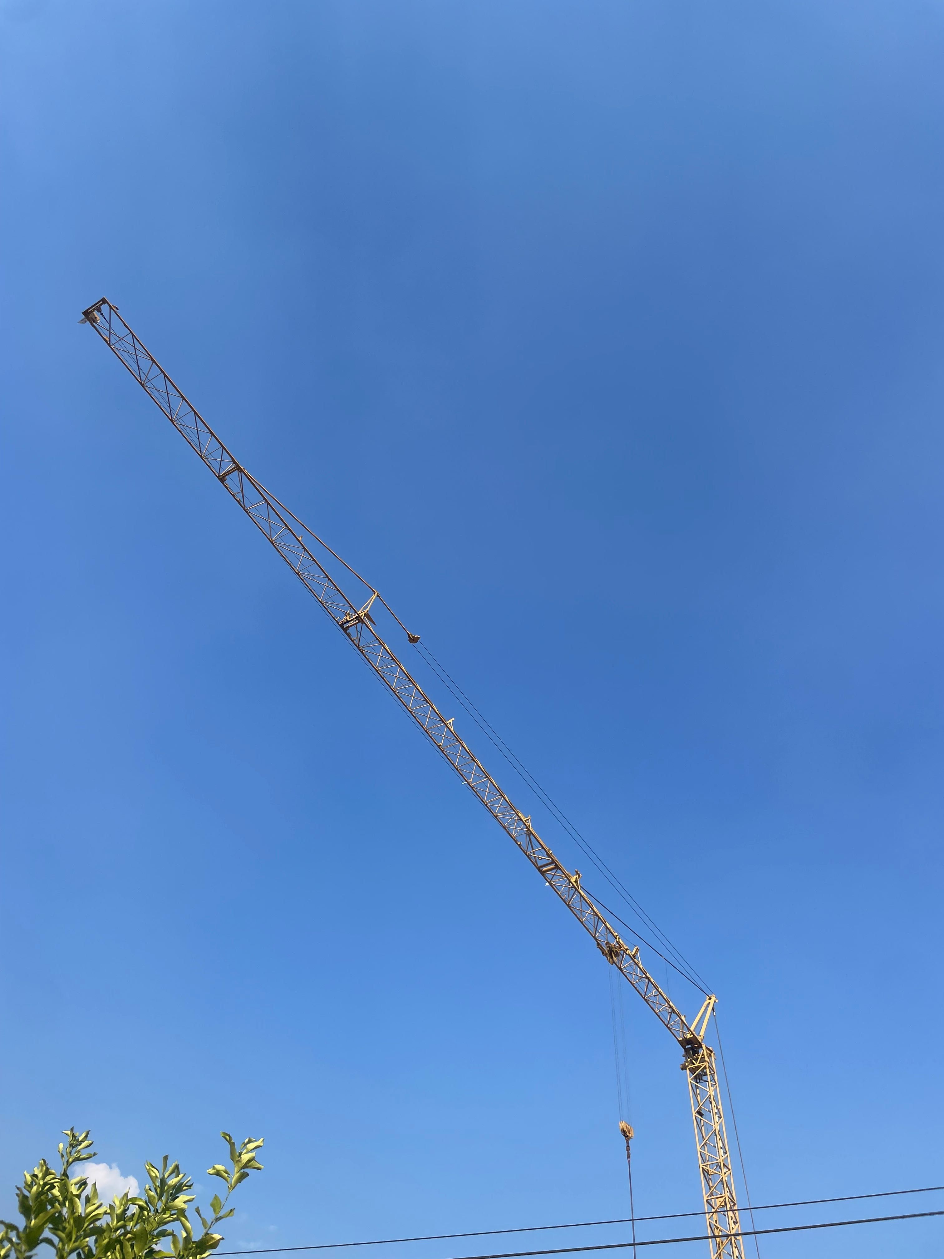 Grua Potain 331 B automontante de 35m de lança
