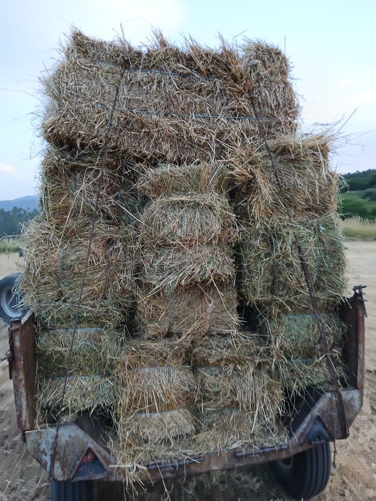 Vendo Fardos pequenos