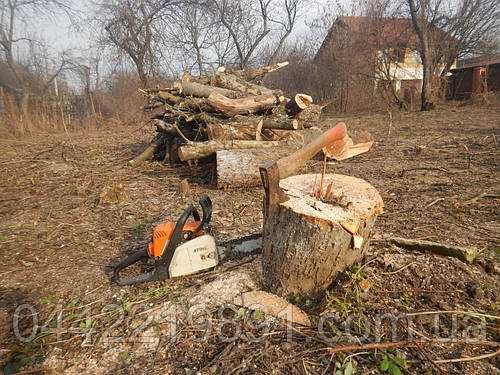 Покіс трави та буряну. Стрижка газону. Розчищення земельної ділянки.