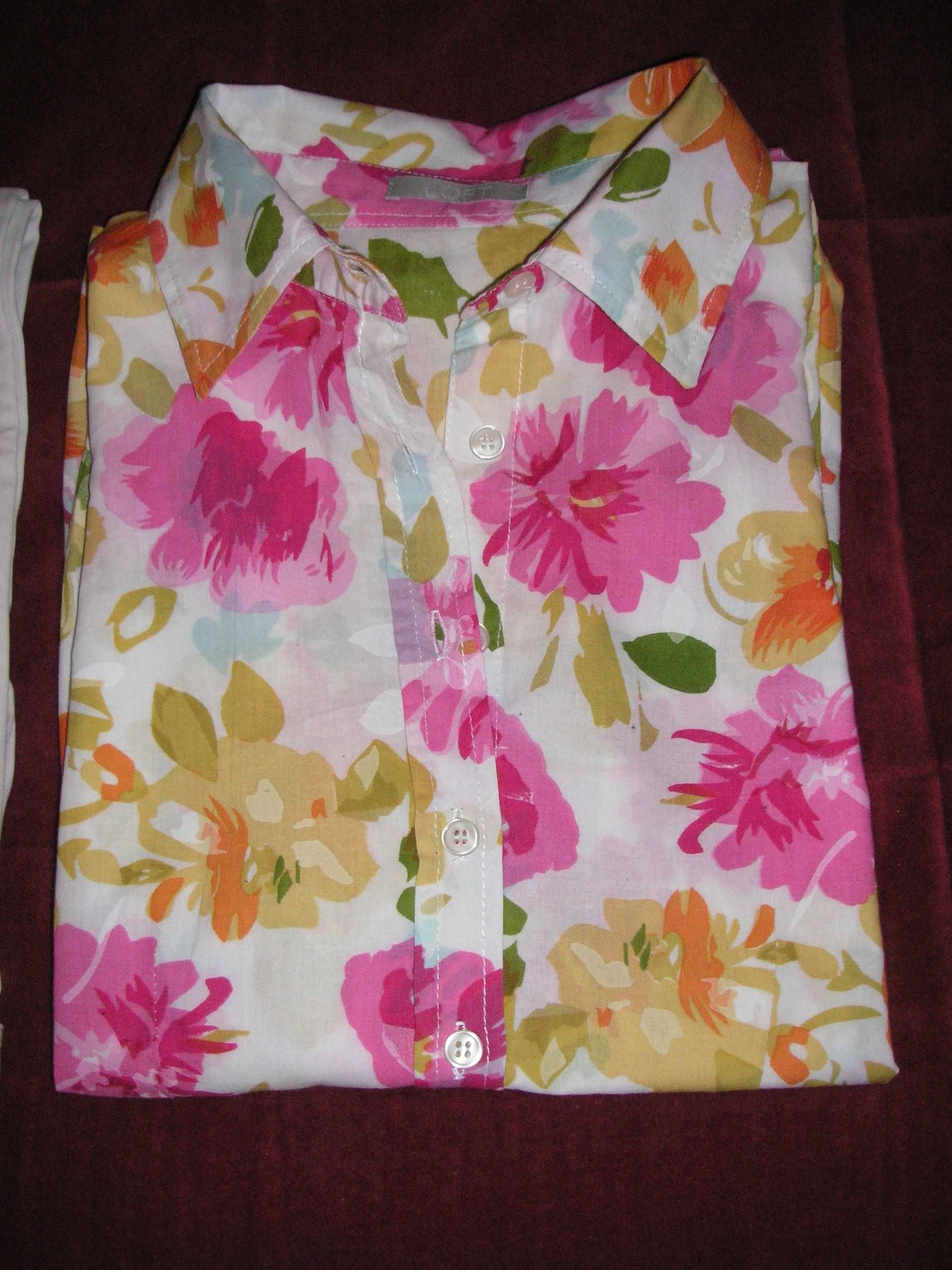 Calças BMV e Camisa / Blusa Lanidor