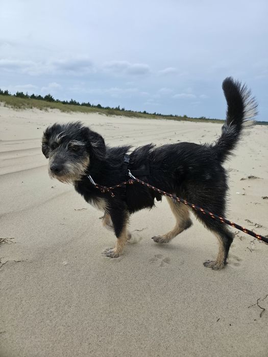 Ofiara wakacji nadal bez domu...