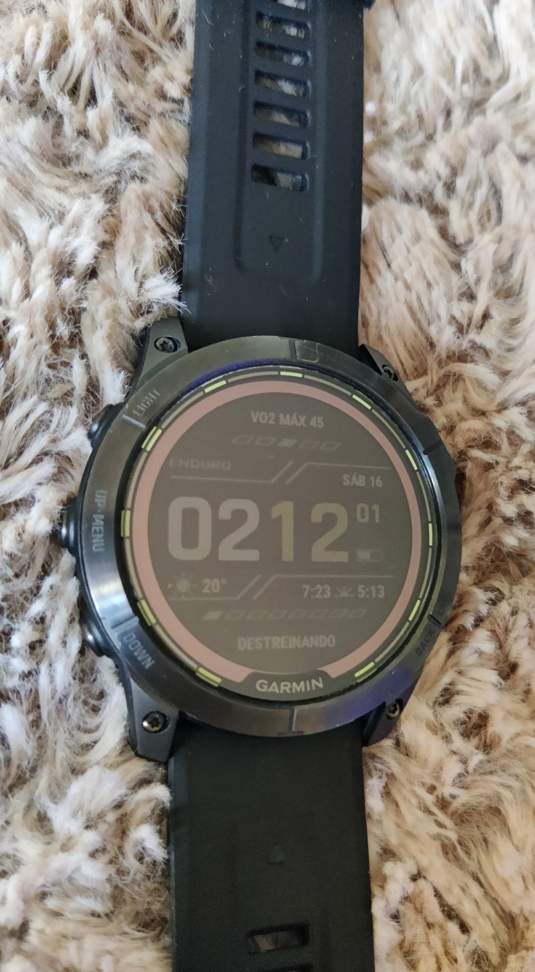Garmin Enduro 2-