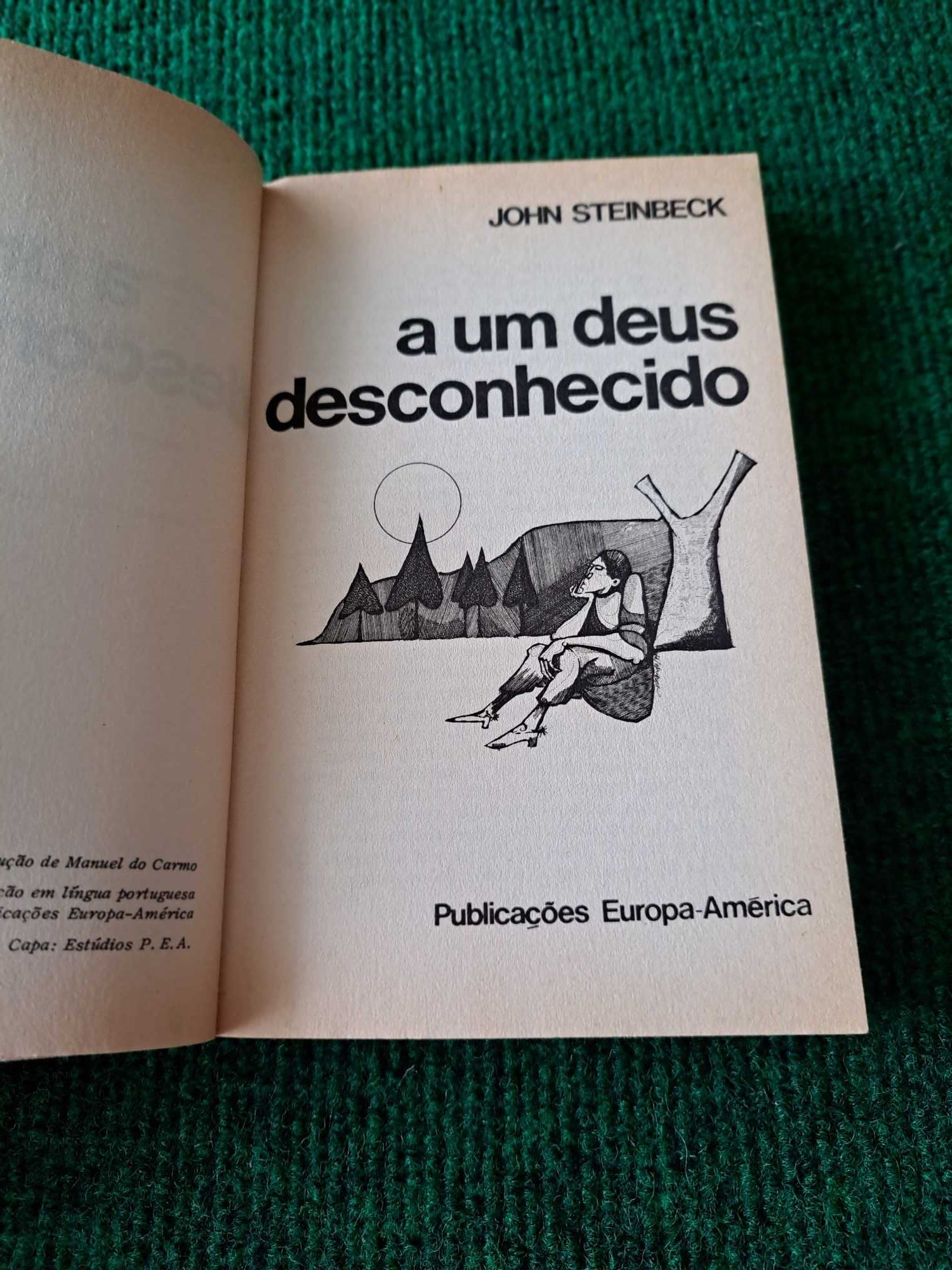 A Um Deus Desconhecido - John Steinbeck