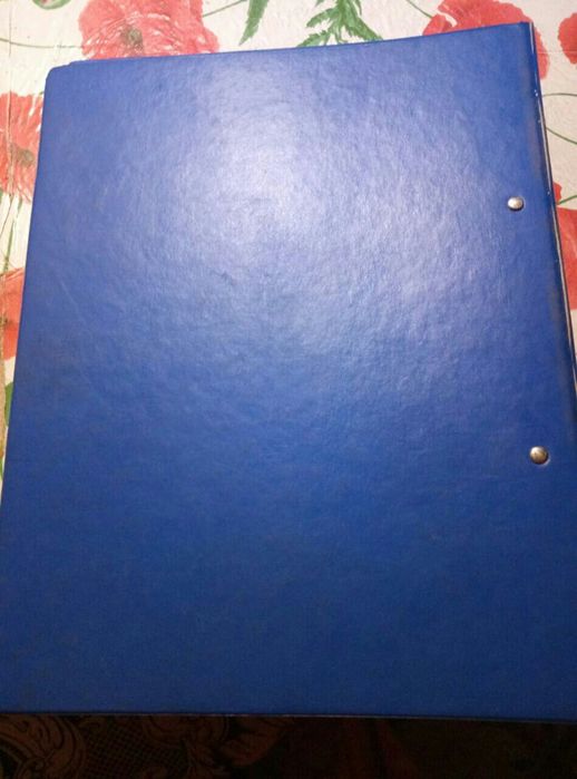 Папка скоросшиватель  большая