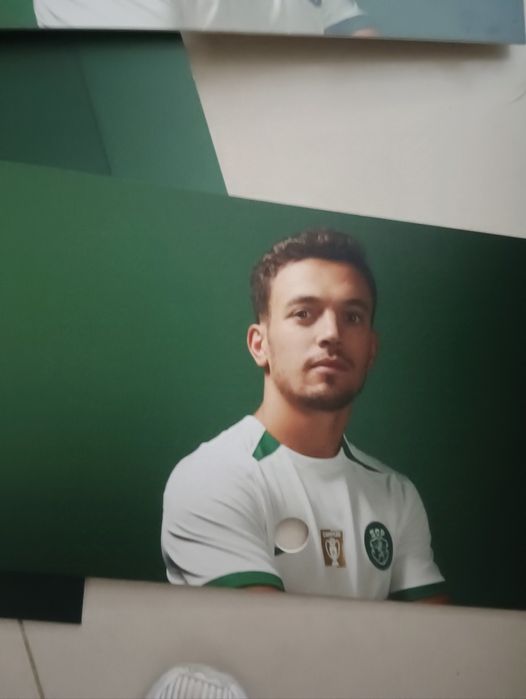 Placas em PVC com a foto dos jogadores do Sporting