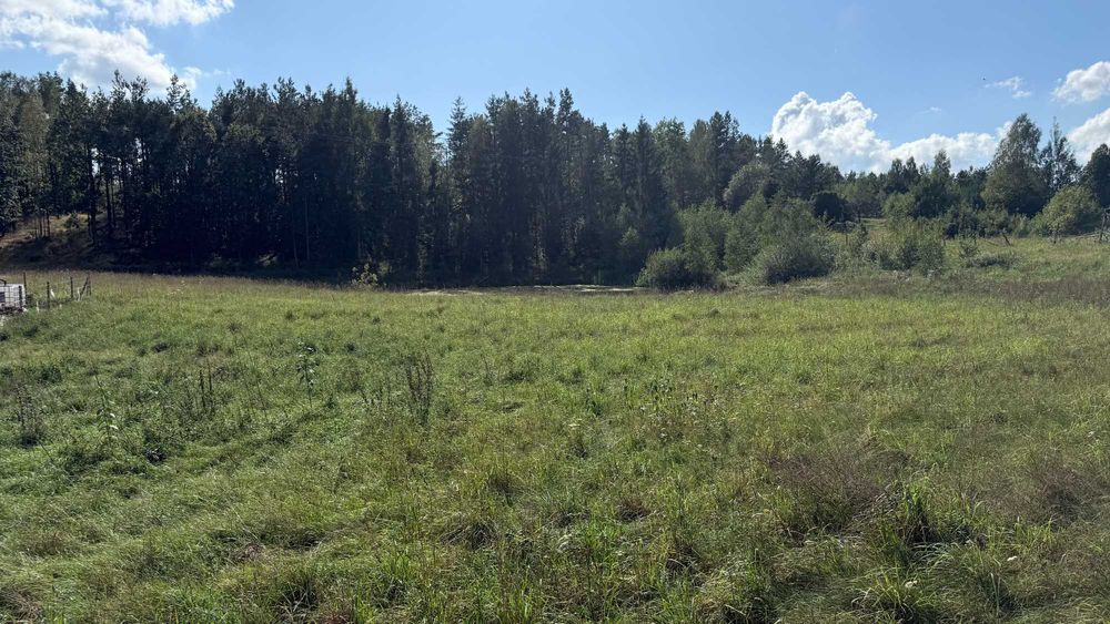 Kaszuby, Las, Rzeka i Jezioro, Dwie działki po 1000 m2