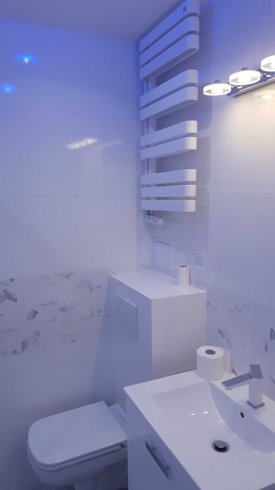 Glazurnik, płytkarz